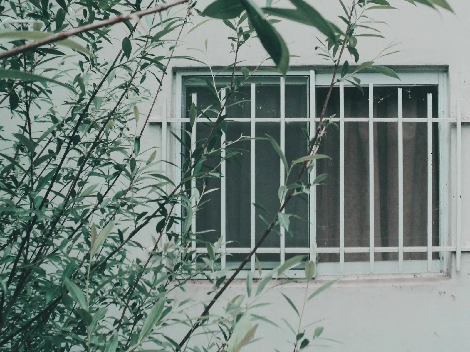 Grate di Sicurezza – foto di categoria Mood Abitare